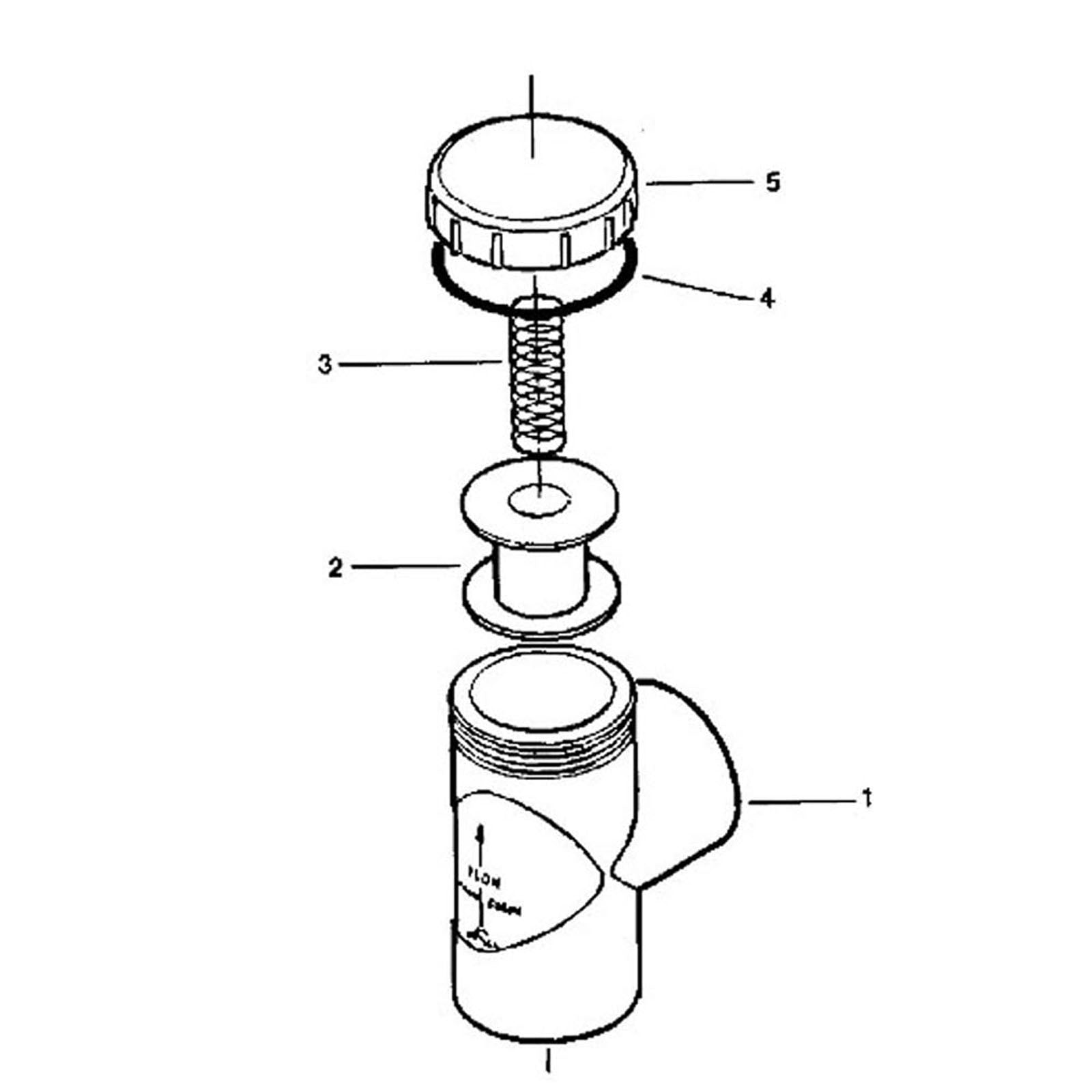 Pentair 90 deg Spring Check Valve-Noryl Seat Assy CPVC Slip