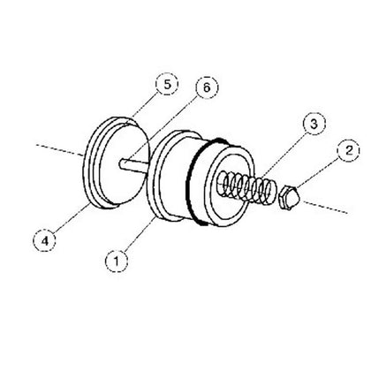 Pentair 1" Sch 40 Return Line Check Valve