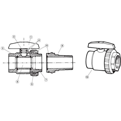 Hayward 1-1/2" & 2" Trimline Ball Valves