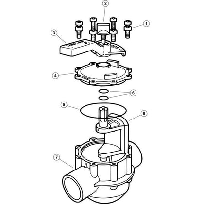 Waterpik Jandy 2 Way CPVC Gray Valve