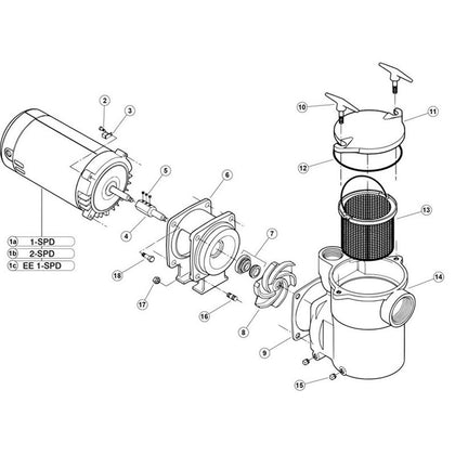 StaRite CF6 Series Pump