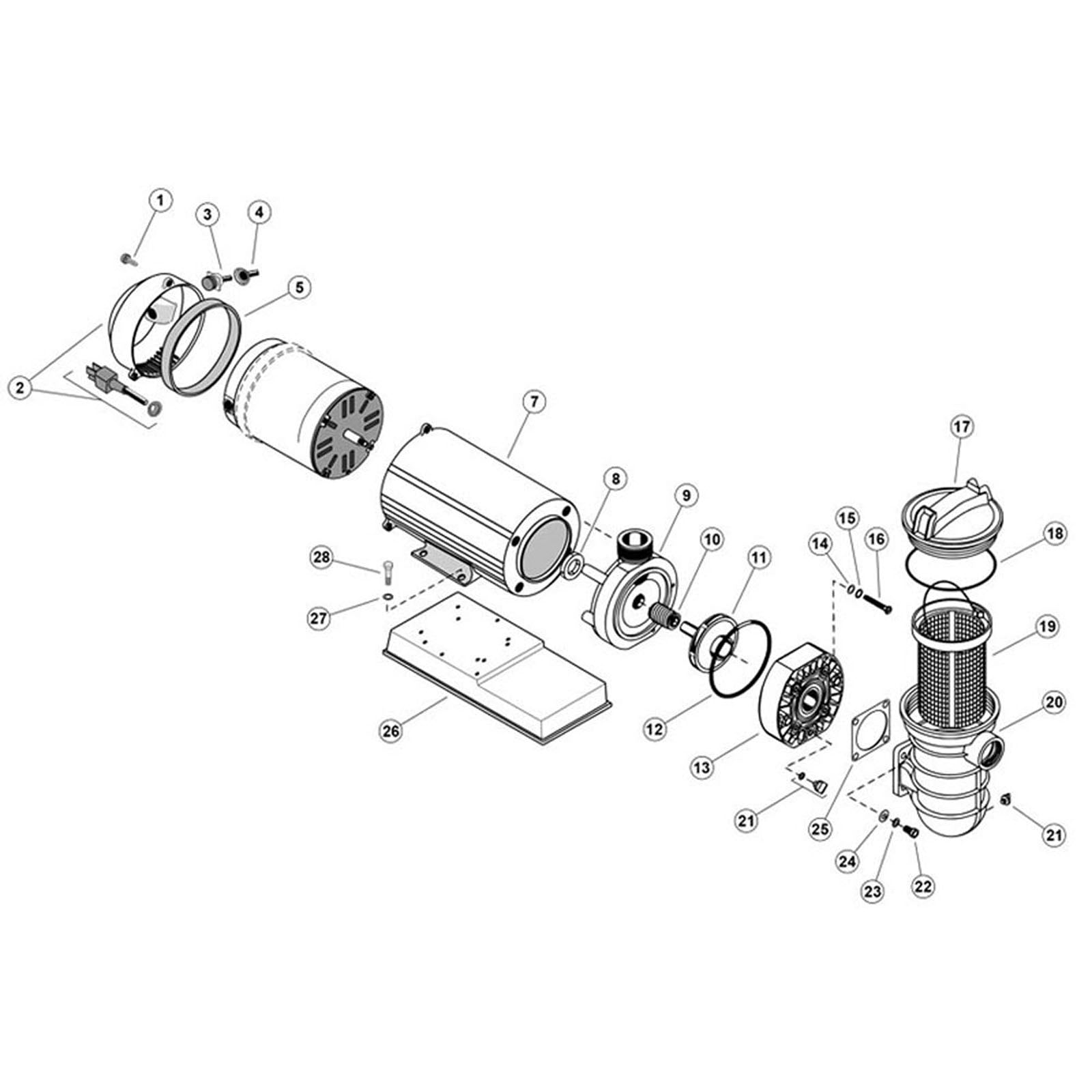 StaRite JW Series Above Ground Pump