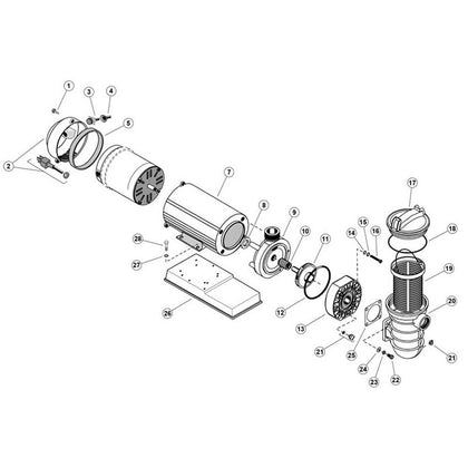 StaRite JW Series Above Ground Pump