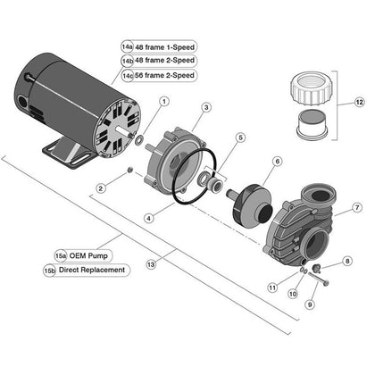 StaRite Dura-Jet DJ Series Pumps