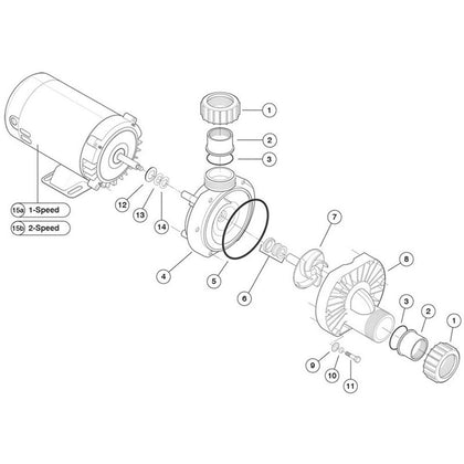 StaRite Dura-Jet JT Series Pumps