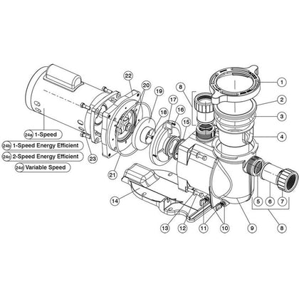 Pentair Sta-Rite SuperMax/SuperFlo Pumps