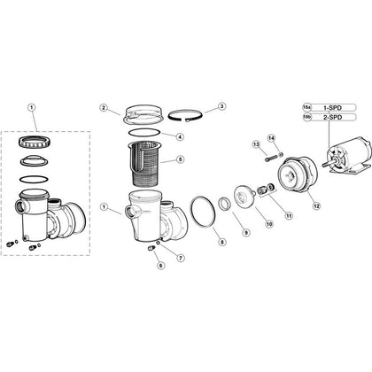 Jacuzzi LH & LTH Model Pumps