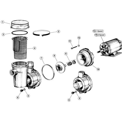 Jacuzzi LPH,LPC, LTPH Model Pumps