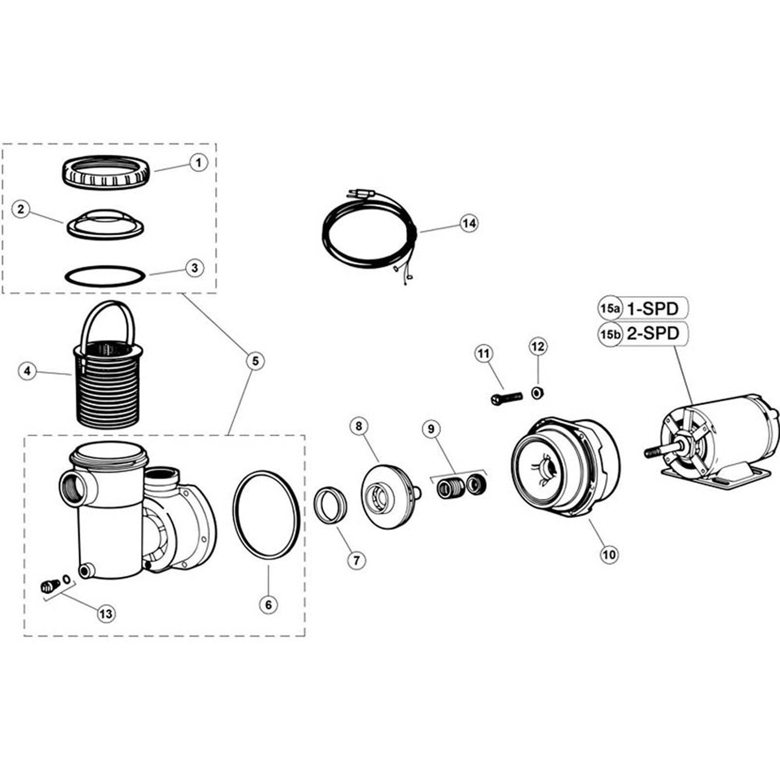 Jacuzzi LR,LR9, LR3, LR6, & LR25 Model Pumps