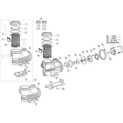 Jacuzzi Magnum/Magnum Plus/Magnum Force/Magnum Force 3 Pumps