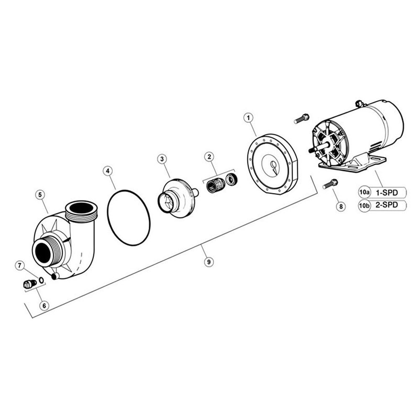 Jacuzzi Piranha "A" Pump