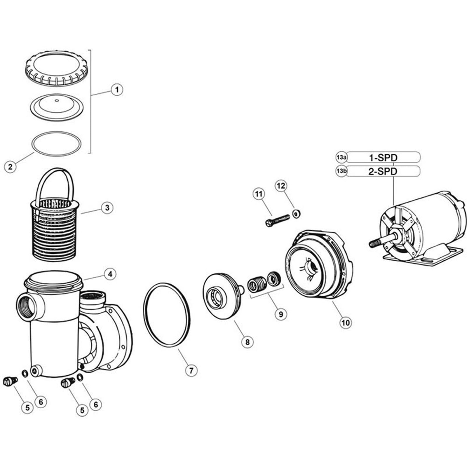 Jacuzzi SLPH & SLTPH Model Pumps