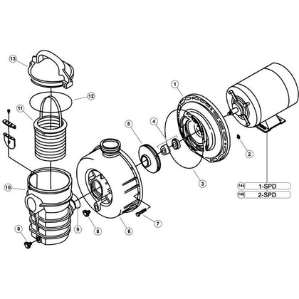 Pentair PacFab Dynamo Pump