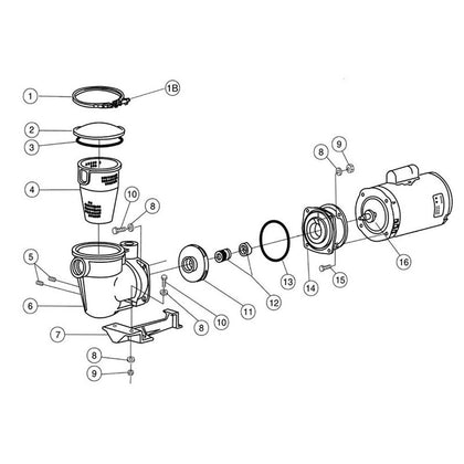 Pentair Purex Quietflo/Aquatron Pumps