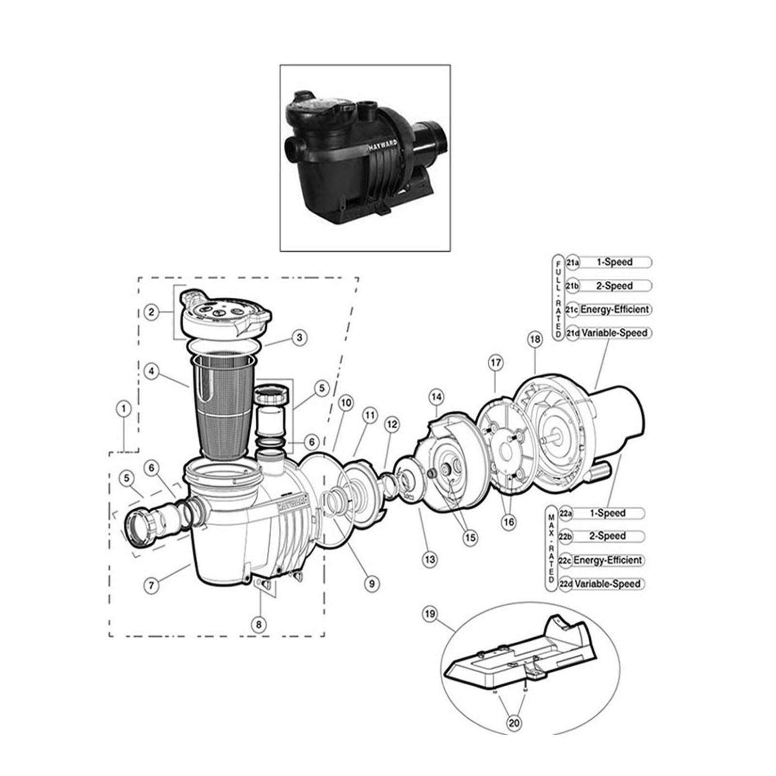 Hayward Northstar SP4000/SP4000X Pump, w/mhbt Unions, 2008+