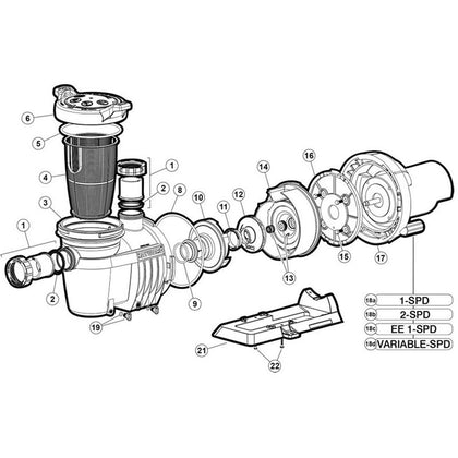 Hayward Northstar SP4000/X Pump, w/Quad Lock Ports, pre-2007