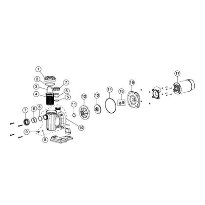 Astral Sena Above-Ground/In-Ground Pump