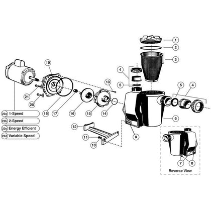 Waterco HydroStorm Pool Pump