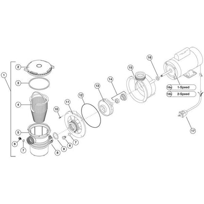 Waterway Center Discharge Pool Pump (4 Screw Faceplace)