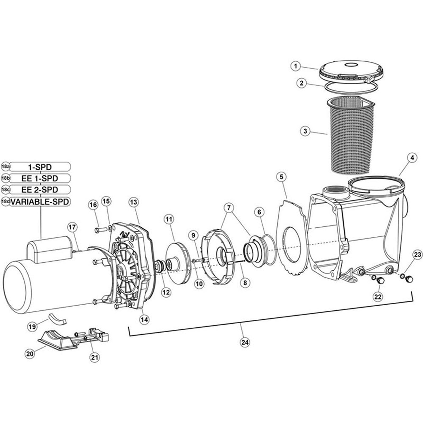 Waterway Champion 56-Frame Pool Pump Models CHAMPE, CHAMPS