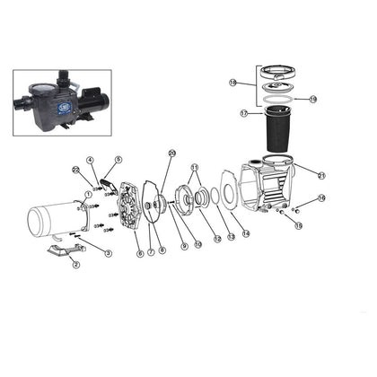 Waterway SMF Pump Replacement Parts