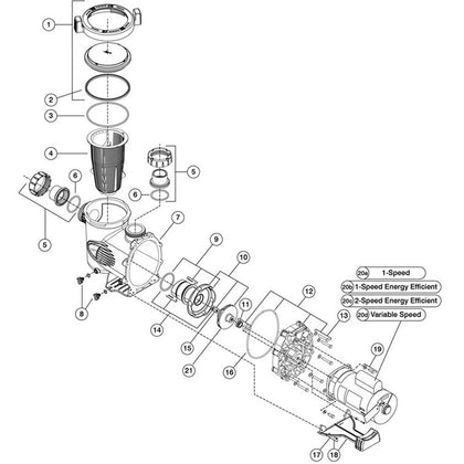 Zodiac Jandy Stealth SHPF & SHPM Pumps