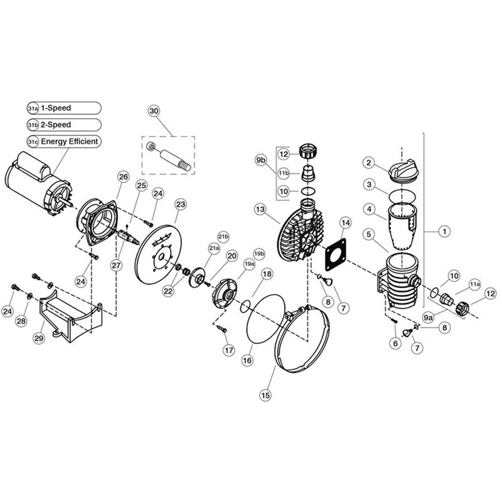 Val-Pak/AquaFlo Dominator Medium & High Head Pump