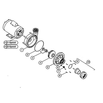 Premier Spring Water 320 & 325 Side Disch Spa Pumps 1989+