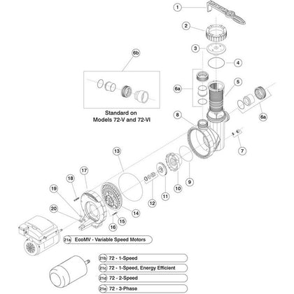 Speck Pumps 72/BADU® EcoMV Inground & Commercial Pump