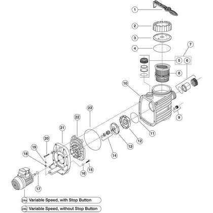 Speck Pumps BADU® EcoM3 V Inground Pool Pump