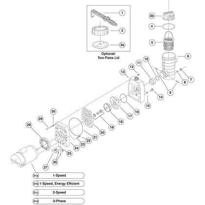 Speck Pumps Model 433 Inground & Commercial Pool Pump