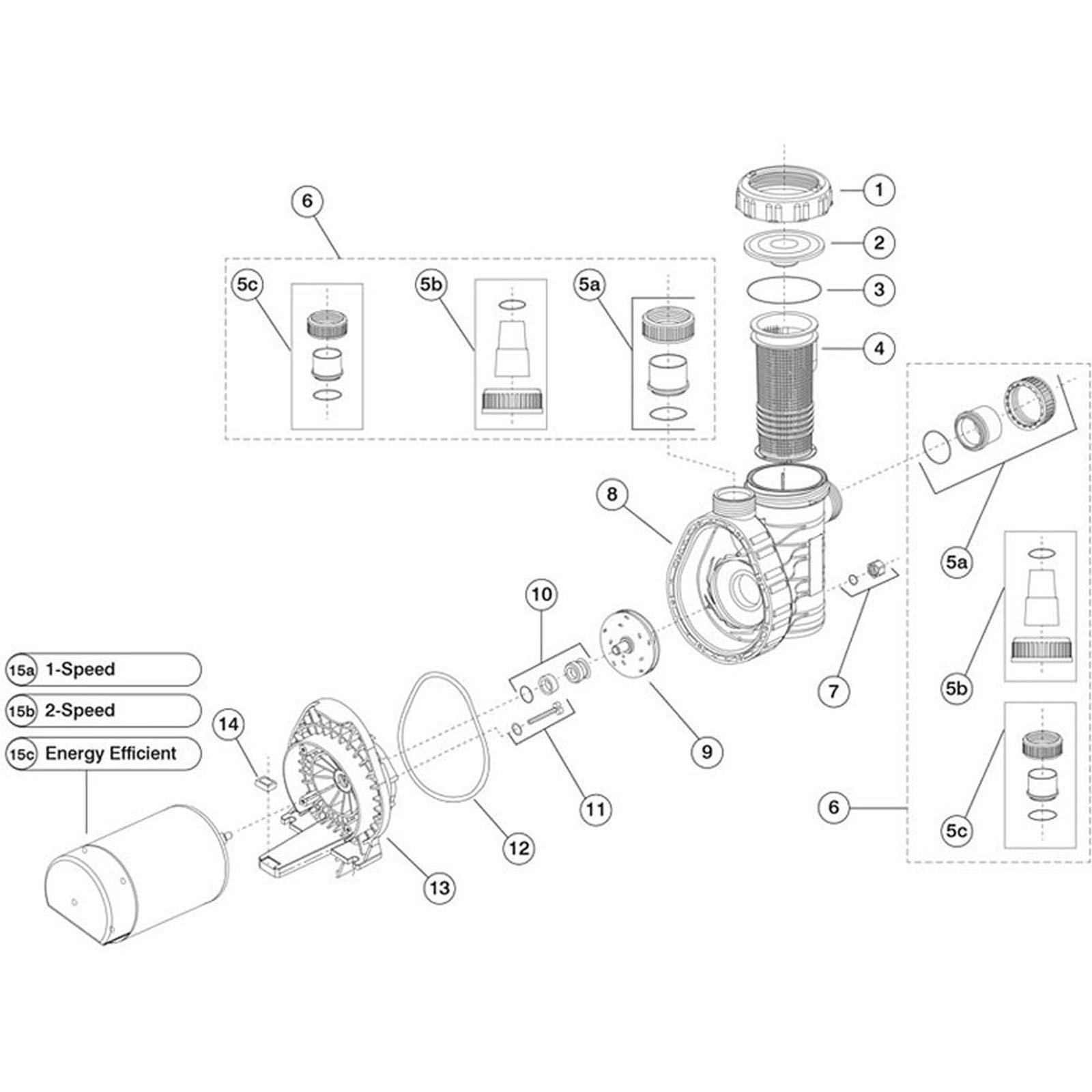 Speck Pumps Model A91 Above-Ground & Inground Pool Pump