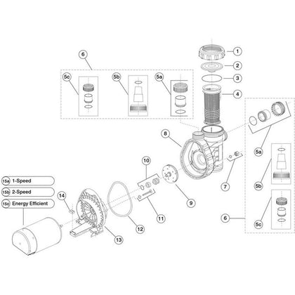 Speck Pumps Model A91 Above-Ground & Inground Pool Pump