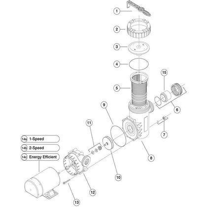 Speck Pumps Model E71 Above-Ground Pool Pump