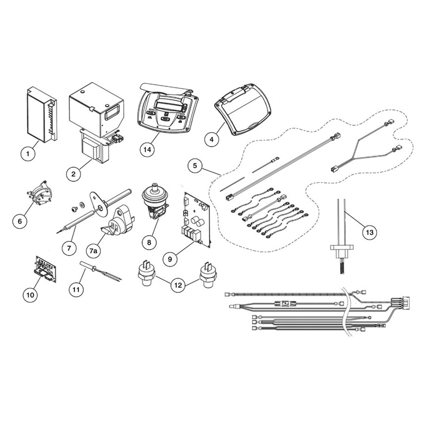 Zodiac Jandy JXi Gas Pool/Spa Heater - Electrical System