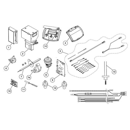 Zodiac Jandy JXi Gas Pool/Spa Heater - Electrical System