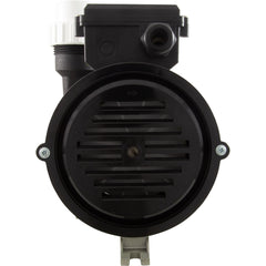 Pump, Bath, LX WBC, 9.0A, 115v, 1.5"