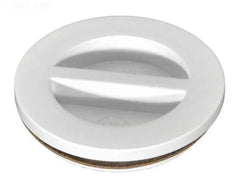 Hayward 1.5" MPT Winter Plug w/ Gasket - Yardandpool.com