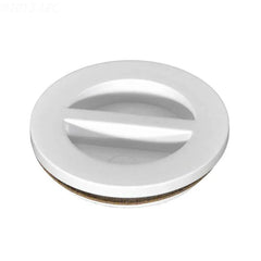 Hayward 1.5" MPT Winter Plug w/ Gasket - Yardandpool.com